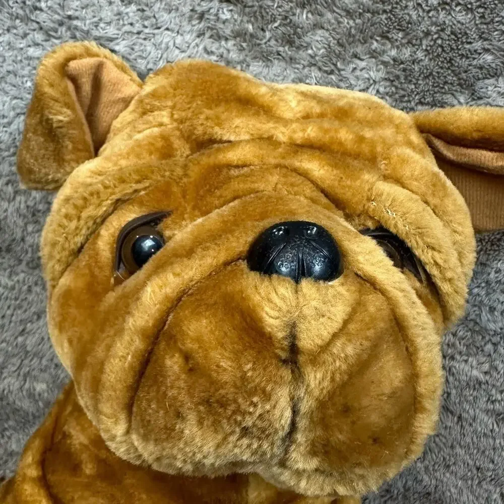 N/A wrinkles shar